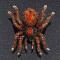Bague Araignée argenté - miniature variant 4